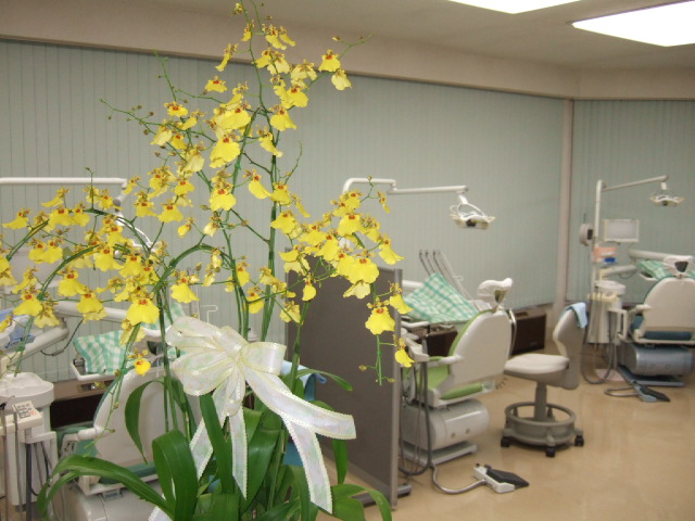 渡辺歯科医院画像(3)