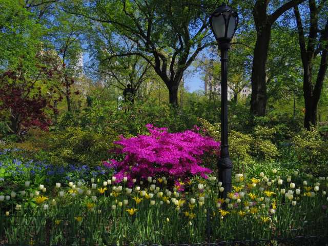 x4t37mG8PdCrnACvRCAALhA3dUNF8ib0