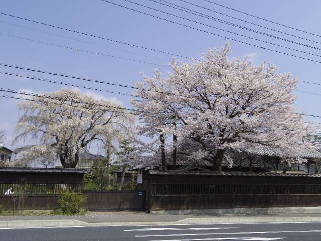 qRw55ycFL0Y9uEFbeQwYIxi825ysbDvu