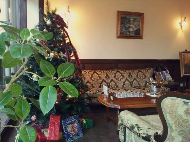 4VTrUIjSrgZi45mgNyZ5defmrbiSSABe