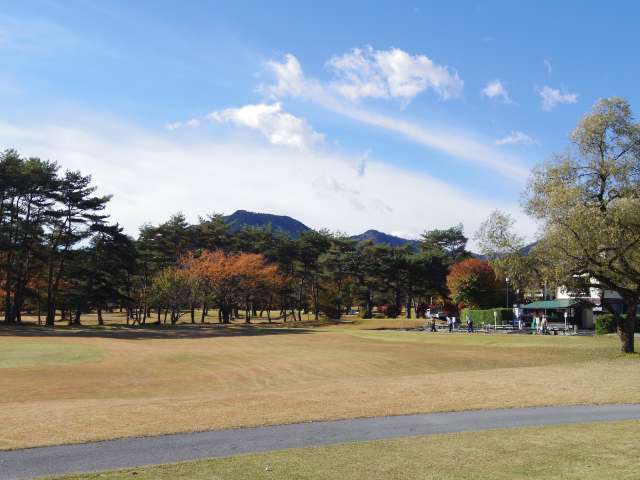 Cz3PK7DeV4AsA6aiCVzcMsu1y10ziXij