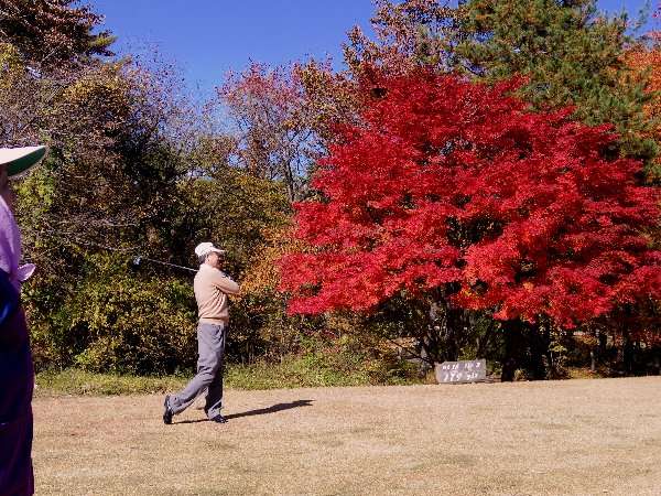 quA5aC98bUSaczPcAg7ui2Fm6vP2yrAw