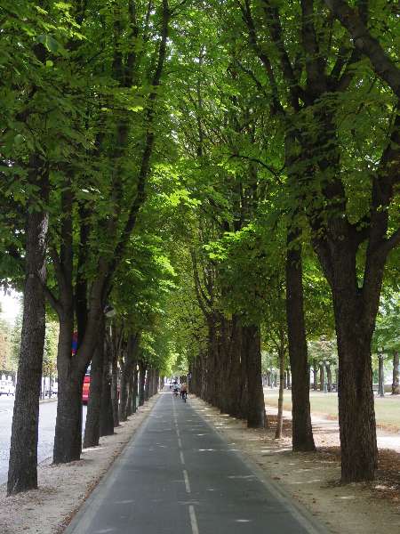 AIP6G0f27CrCTHWabswfcCj823jfxCW1