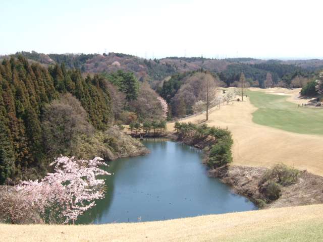 cWtUcAT1kFQD5tB97PgeG39adcN2c6Wt