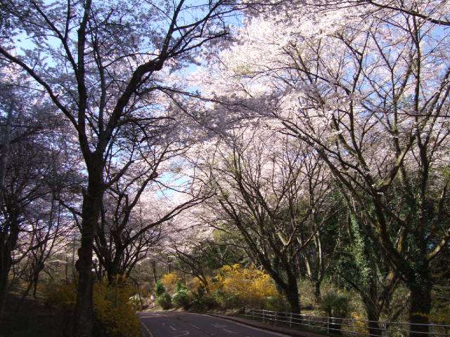 U8t7aceze5mmRixnrLayF8zKtKjdIaAf