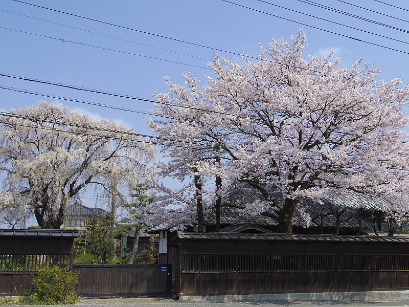 渡辺歯科医院画像(2)