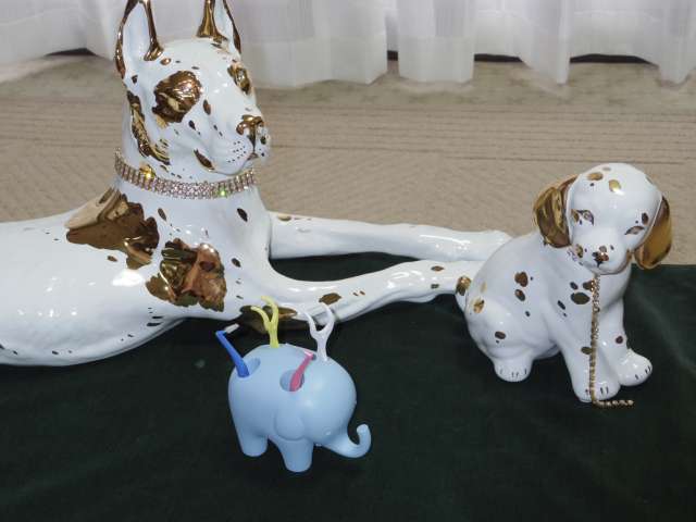 aPA40b2uigpB3c1C89Vpi4e7nG9xa8nI