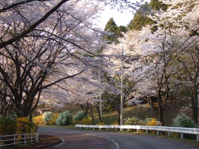 Tjvff778ISaskaw56bzF22R7shyennG8