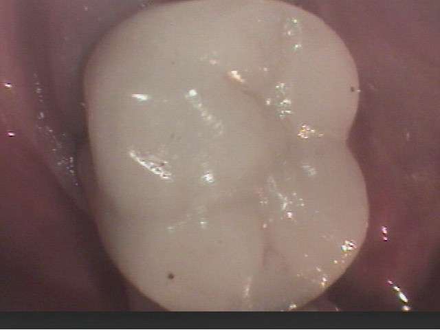 IE21vuamyGEzhC5umCyqghiy3DjnIcwK