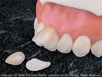 cN5Chg6h1GhuEpUpCXnVE8xp6i5sX5EZ