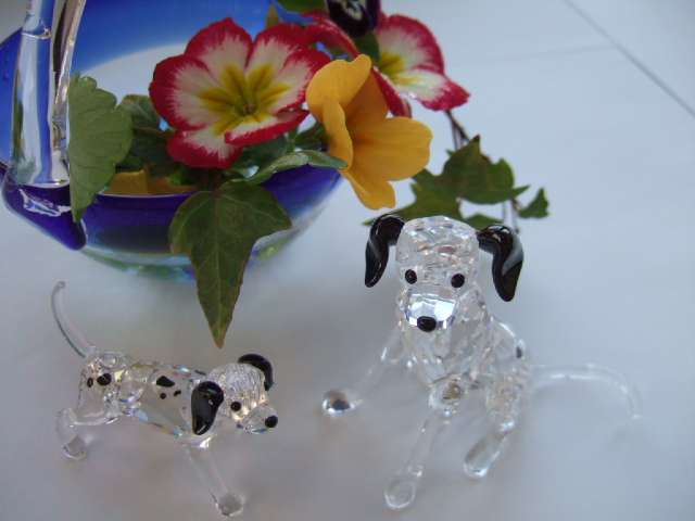 Ps8cbisnZuA9RiEFuAwn17Vw0dzt9hGd