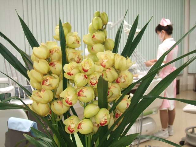 AZ8xBvBfyhNjGQtDvQmG0Gyd140cHcJ4