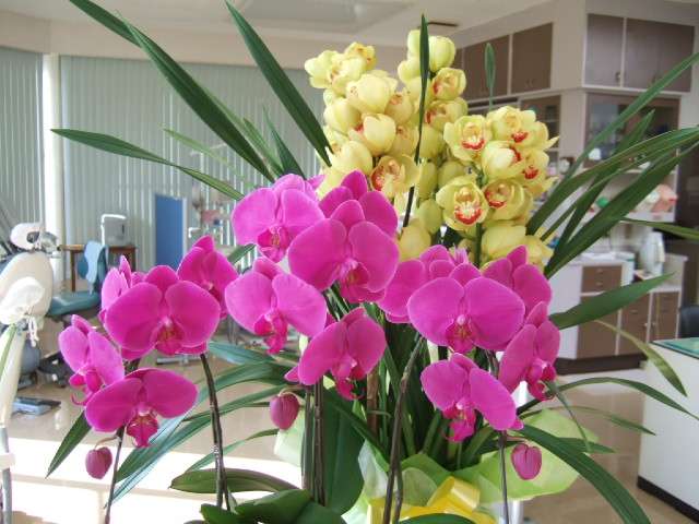 yZaz6Cdr5eGeGAAdEhjt78KFYuUwXns0