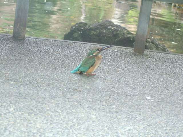 t3MeXF6cQEFhsFJrmjSqia6aykT4s3Ff