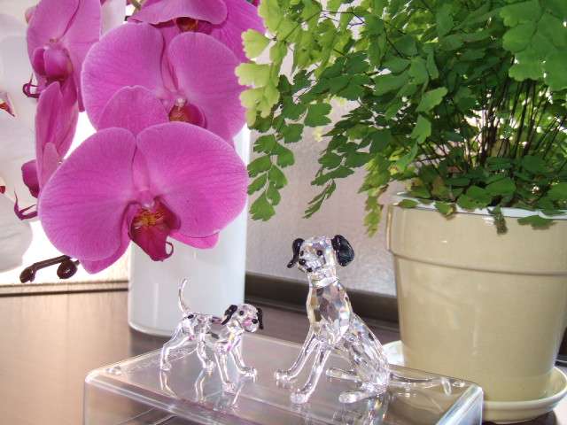 4479p49c3q5Adw7kc6rth5fSb3VF7TFx