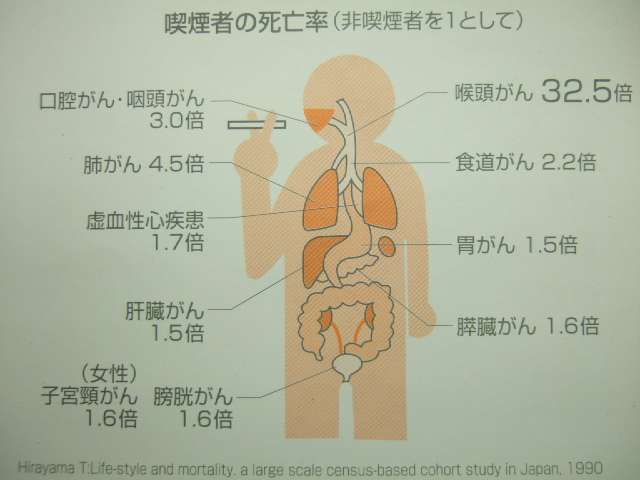 DD2n18WQeeS0wE4ghQC5CQwCsYDRqgnb