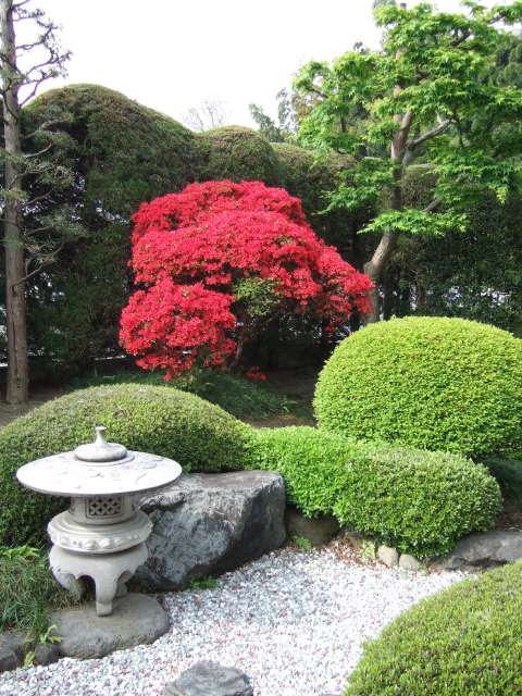 dk8FhdhhBgh5C5YhpVv8MfYnktSh4rA3