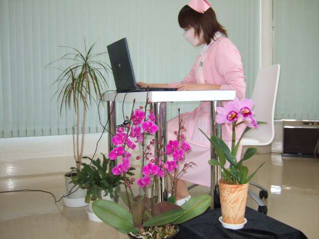 GyfTkg4X6hUapndUuymViDGrGbK8Ww7h