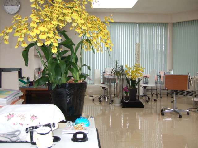 dgmZvTe8csqP1qgjWEKi1dc2pkRT3Wfh