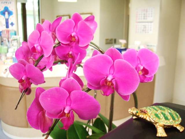 pMwRrcfvSqCfB9hcFDYMsV2hMZjPvX8c