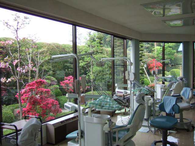 2x33rCckMhzQ9mcFqt33NpE05pbbfk1H