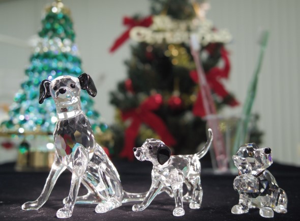 渡辺歯科医院 画像b_0627