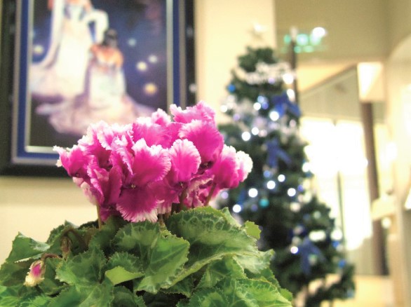 渡辺歯科医院 画像a_0627