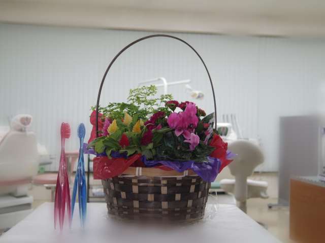 渡辺歯科医院画像(7)