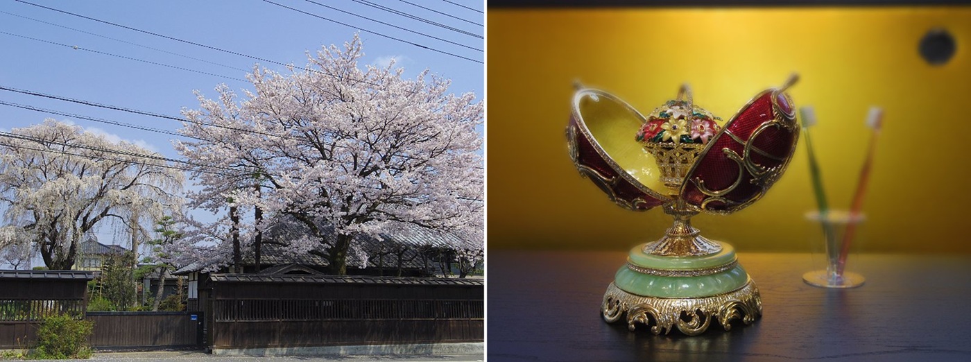 渡辺歯科4月画像01